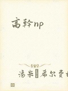 高干np