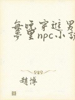 每晚穿进男神的梦里npc小说