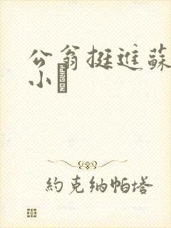 公翁挺进苏玥的小泬
