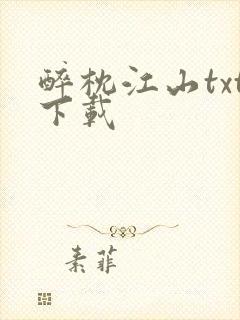 醉枕江山txt下载