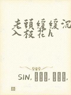 老头缓缓沉腰进入校花h