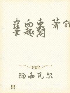 崔向东 萧错 笔趣阁