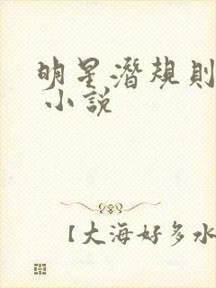 明星潜规则之皇 小说