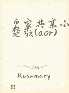皇家共享小公主楚欢(aor)