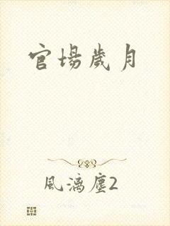 官场岁月