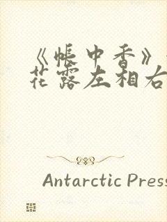 《帐中香》金银花露左相右相