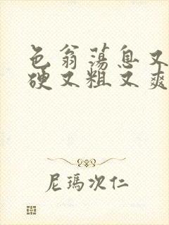 色翁荡息又大又硬又粗又爽