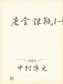 老金银瓶1-5
