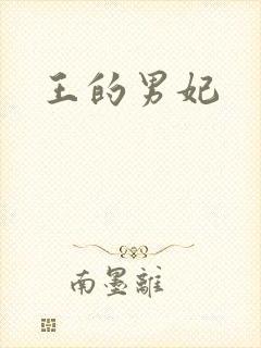 王的男妃