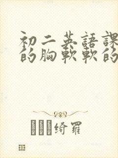 初二英语课代表的胸软软的