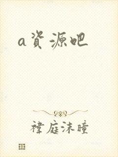 a资源吧