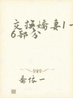 交换娇妻1一36部分