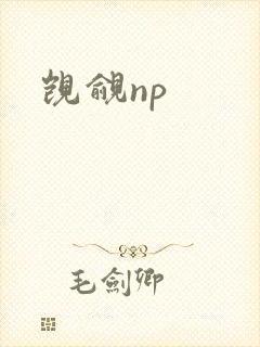 觊觎np