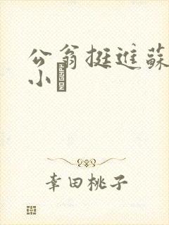 公翁挺进苏玥的小泬