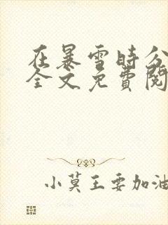 在暴雪时分小说全文免费阅读