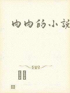 肉肉的小说