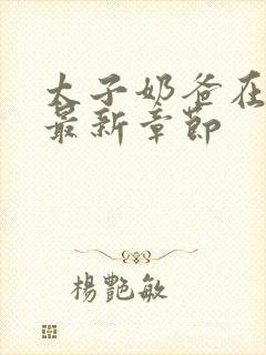 太子奶爸在花都最新章节