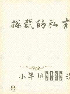 总裁的私有宝贝