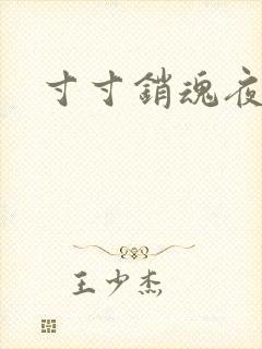 寸寸销魂夜春光