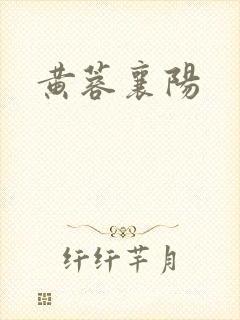 黄蓉襄阳