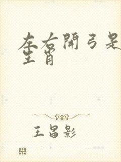 左右开弓是什么生肖