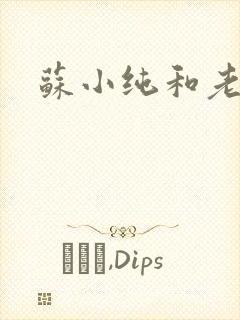 苏小纯和老苏