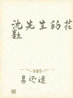 沈先生的花式调数