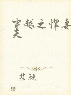 穿越之悍妻共三夫