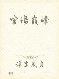 官场巅峰