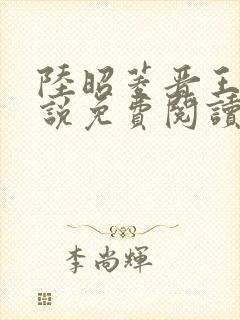 陆昭菱晋王的小说免费阅读