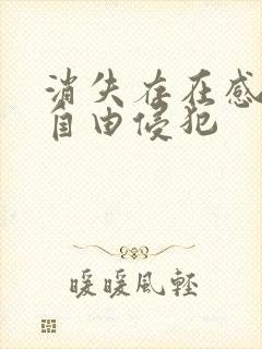 消失存在感消失自由侵犯