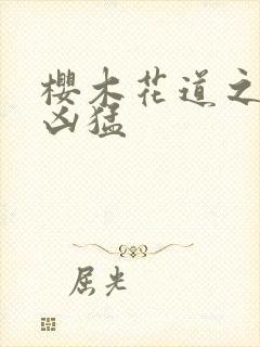 樱木花道之重生凶猛