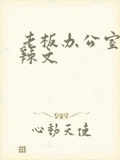 老板办公室系列辣文