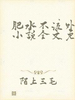 肥水不流外人田小说全文免费阅读1