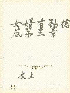 女婿有劲枪枪到底第三章