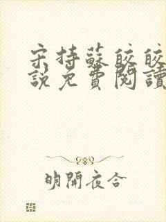 宋持苏皎皎的小说免费阅读