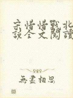 宋惜惜战北望小说全文阅读
