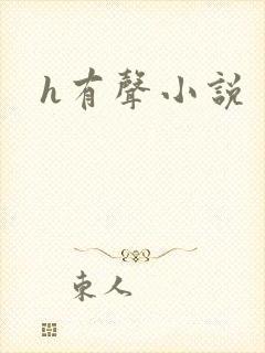 h有声小说