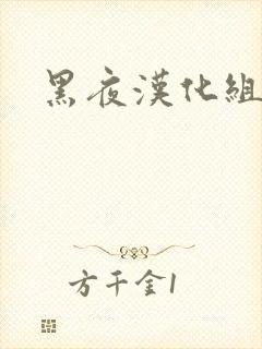 黑夜汉化组