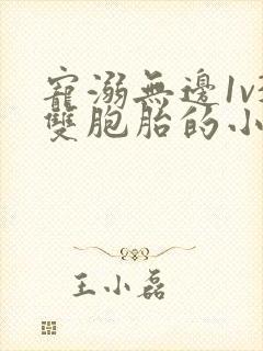 宠溺无边1v3双胞胎的小说