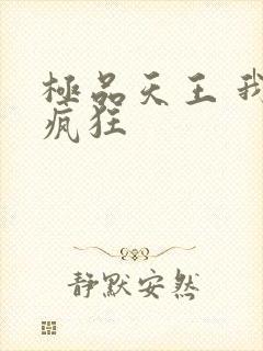 极品天王 我本疯狂