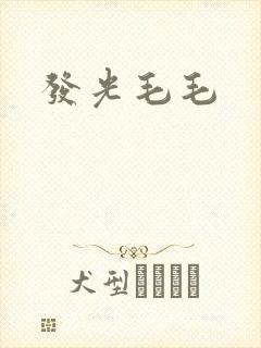 发光毛毛