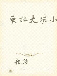 东北大坑小说