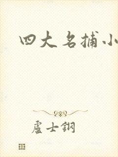 四大名捕小说