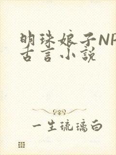 明珠娘子NPC古言小说
