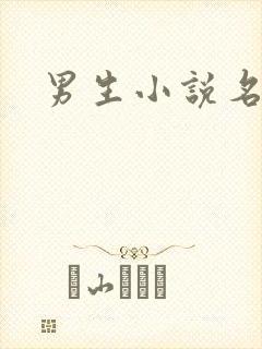 男生小说名字