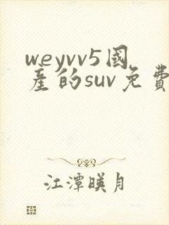 weyvv5国产的suv免费
