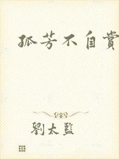 孤芳不自赏小说