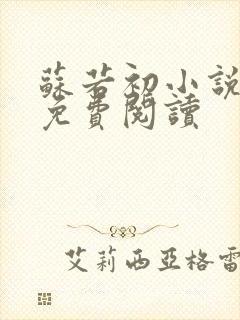 苏若初小说全文免费阅读