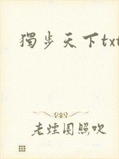 独步天下txt